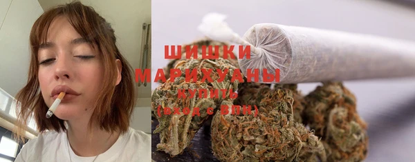 дживик Гусиноозёрск