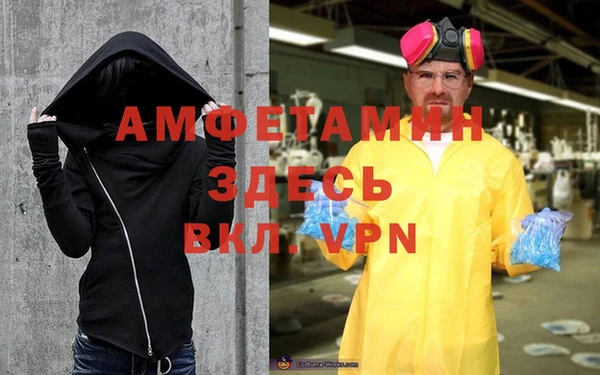 гидра Галич