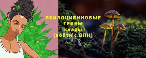 кокс Гусь-Хрустальный