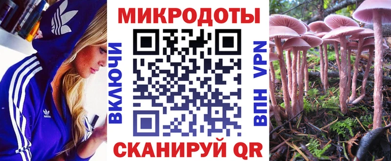 дарк нет какой сайт  Горняк  Псилоцибиновые грибы Cubensis  купить наркотики сайты 